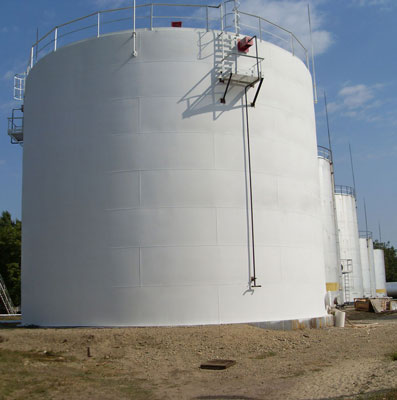 Portfolio Image