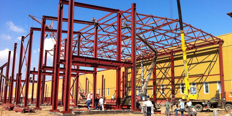 Portfolio Image